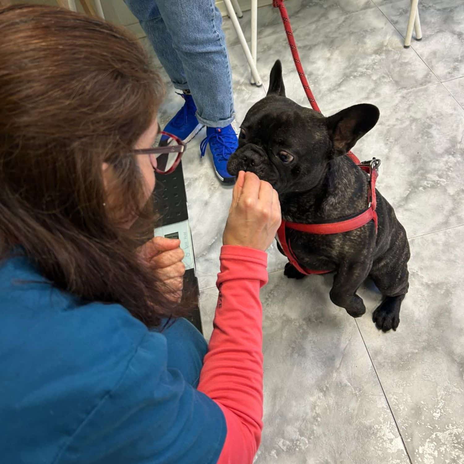 Atención personalizada en VetCantos