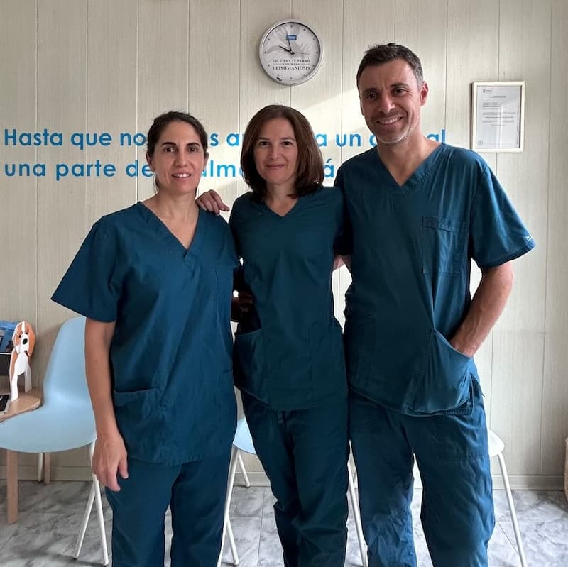 Equipo del Centro Veterinario VetCantos en Tres Cantos