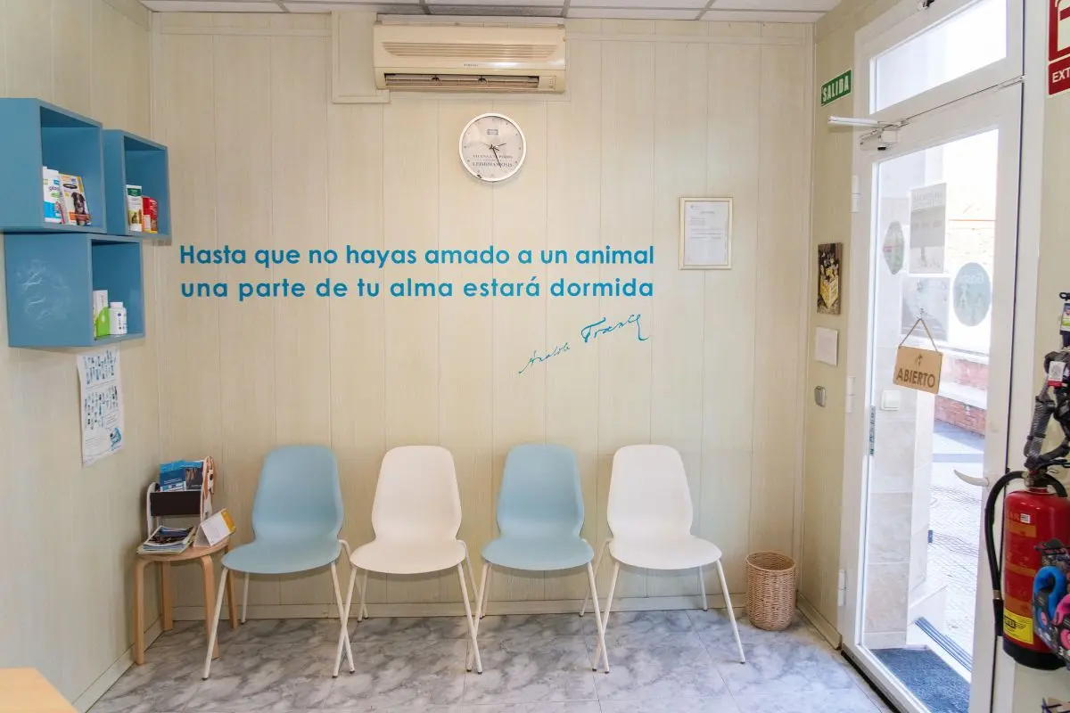 Ambiente acogedor en VetCantos