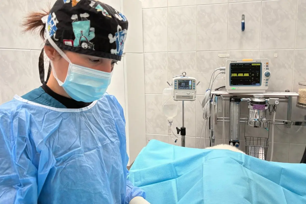 Quirófano profesional equipado